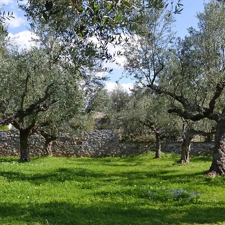 Loupino Couples Romance