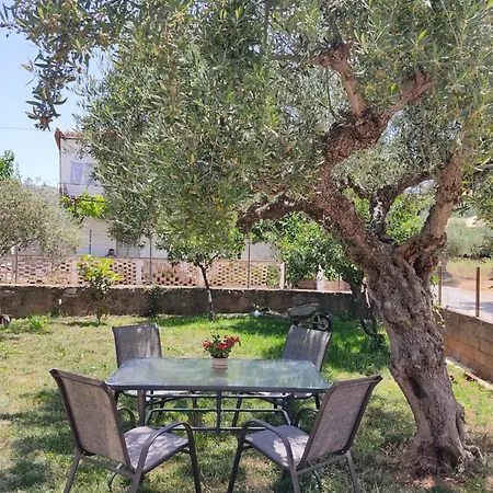 Loupino Couples Romance