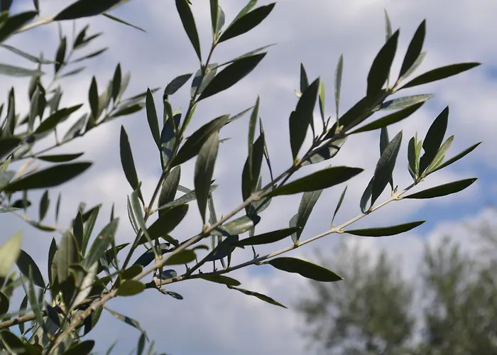 Apartmán Loupino Couples Romance