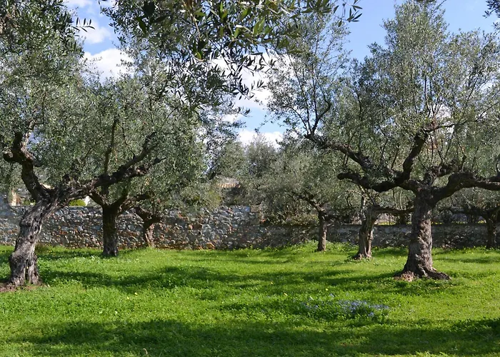 Loupino Couples Romance