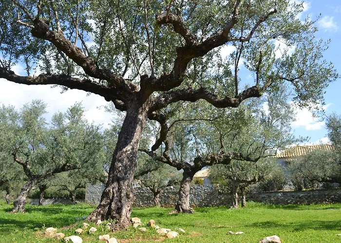 Loupino Couples Romance Stoúpa